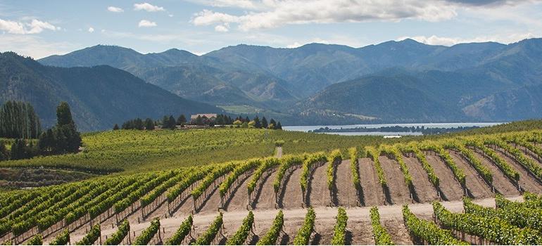 California & The Pacific Northwest – Wines Off the Beaten Path